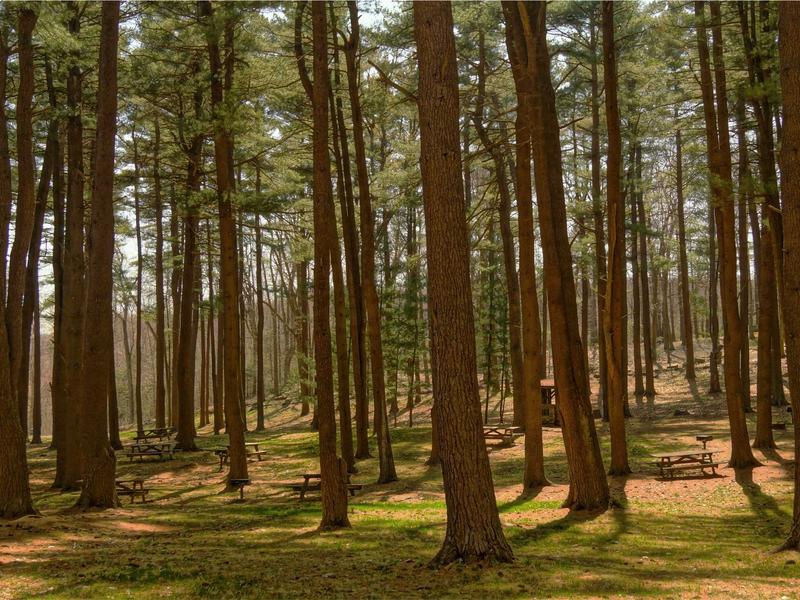 sudoku backup save screenshot 4