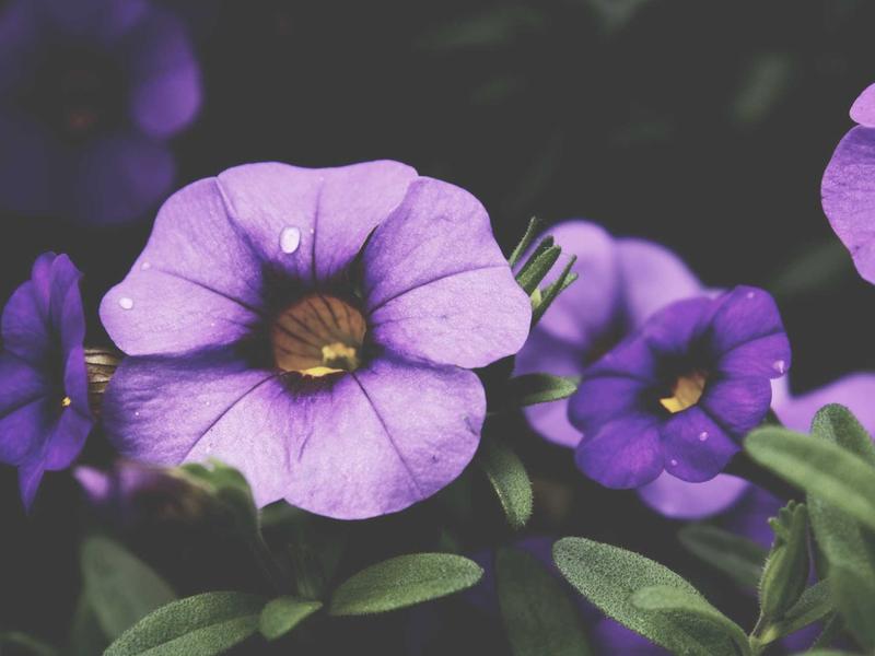 sudoku backup save screenshot 5